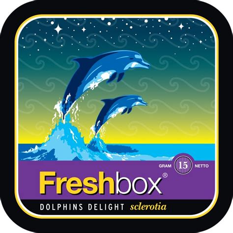 Dolphin Delight Betfair